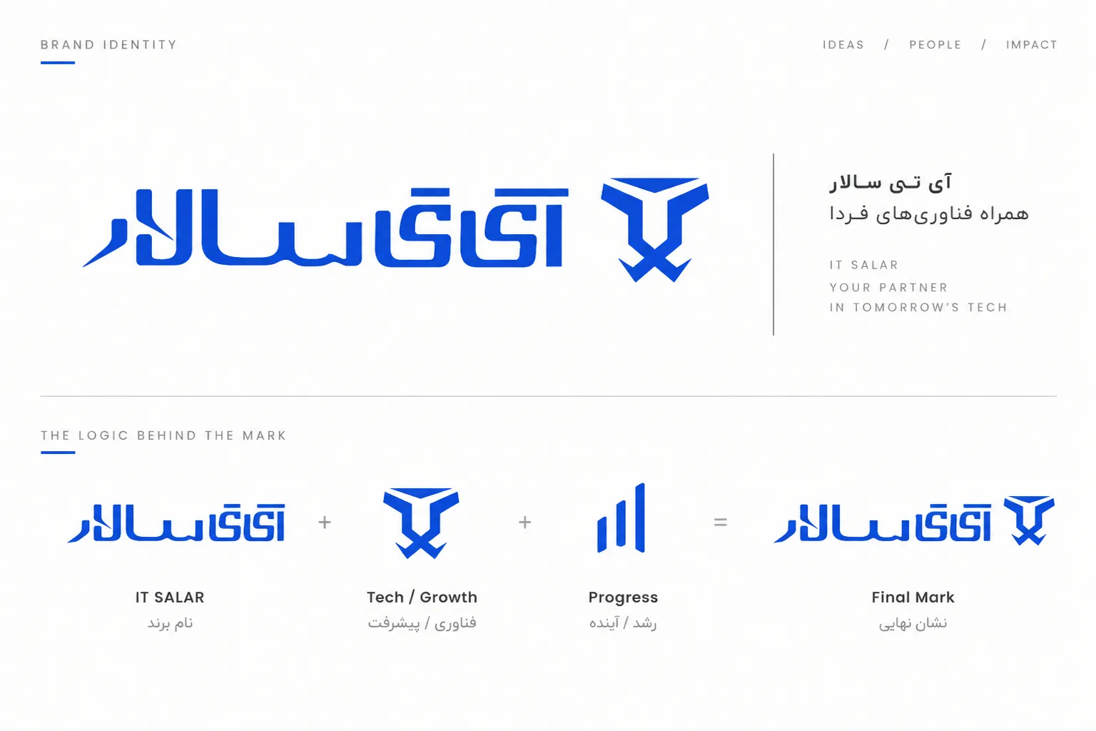 هویت بصری و برندینگ آیتی سالار (IT SALAR)